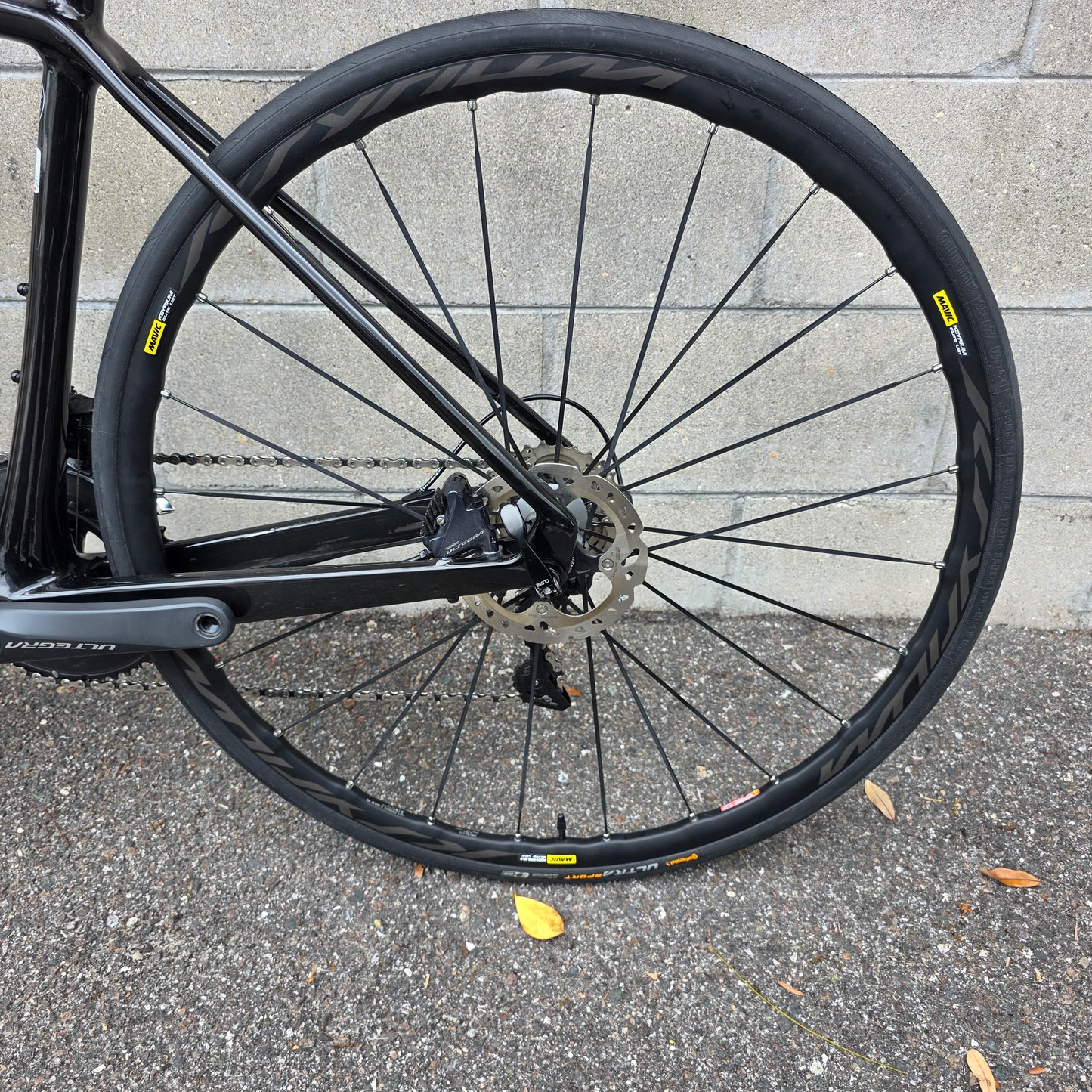 Vitus Vitesse Evo CR Carbon Disc Ultegra (48cm) Road Bike