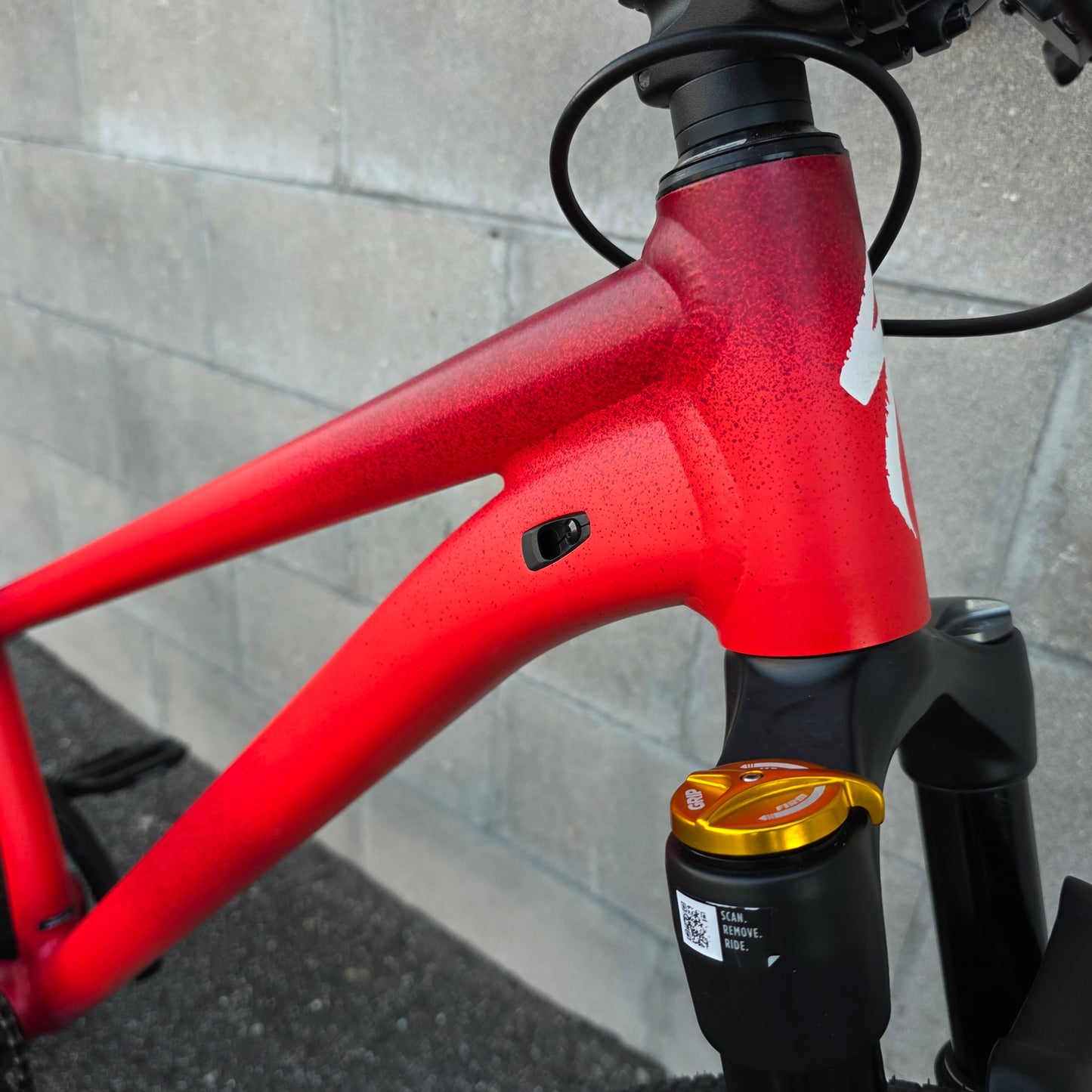 Specialized p4 DJ Dirt Jumper