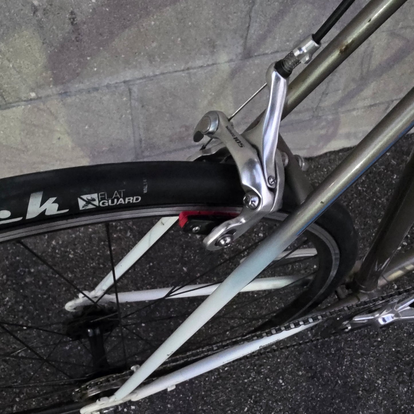 Panasonic SingleSpeed/ Fixed gear