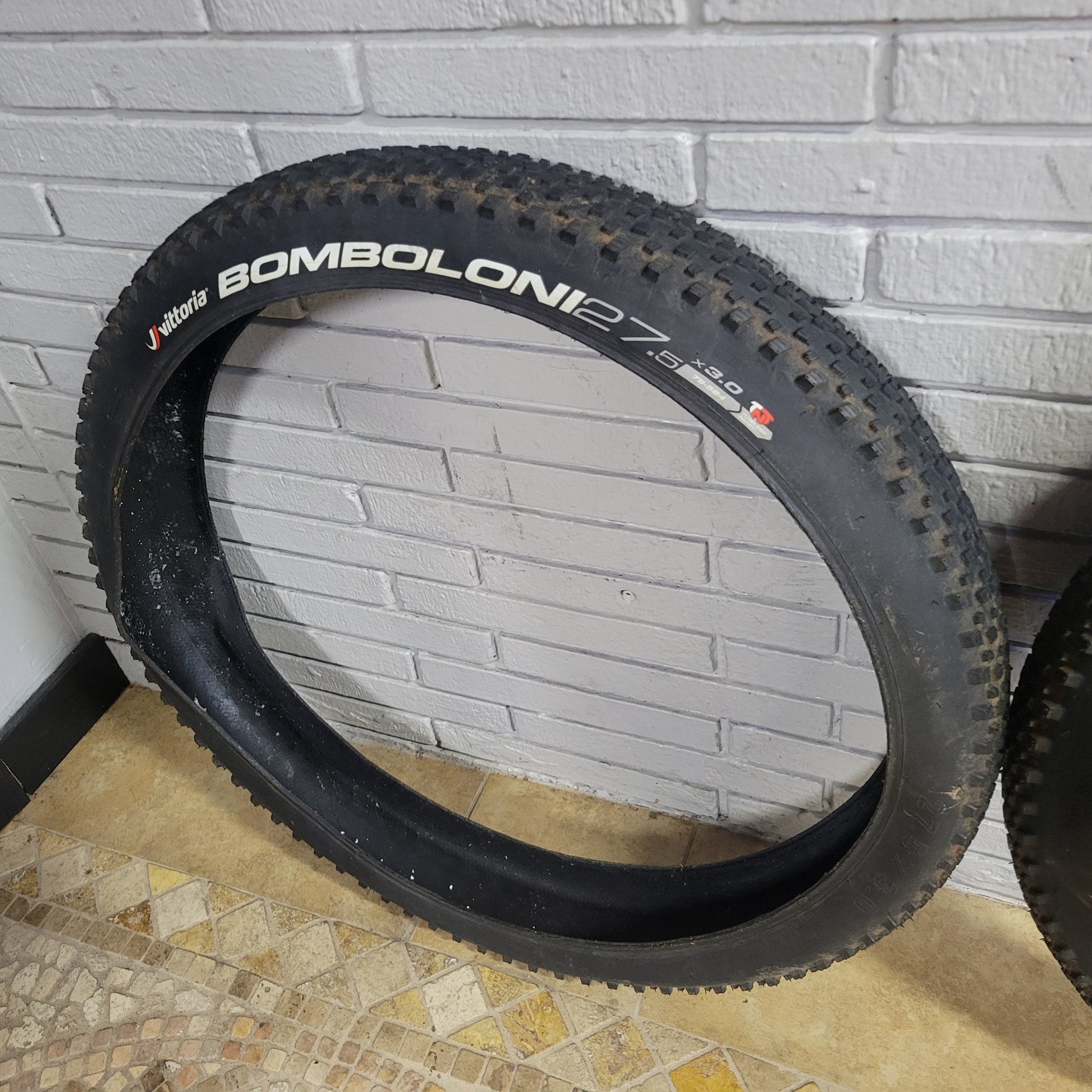 Vittoria Bomboloni TNT tires tubeless – South Tampa