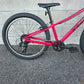 Trek Precaliber 24 kids mountain bike