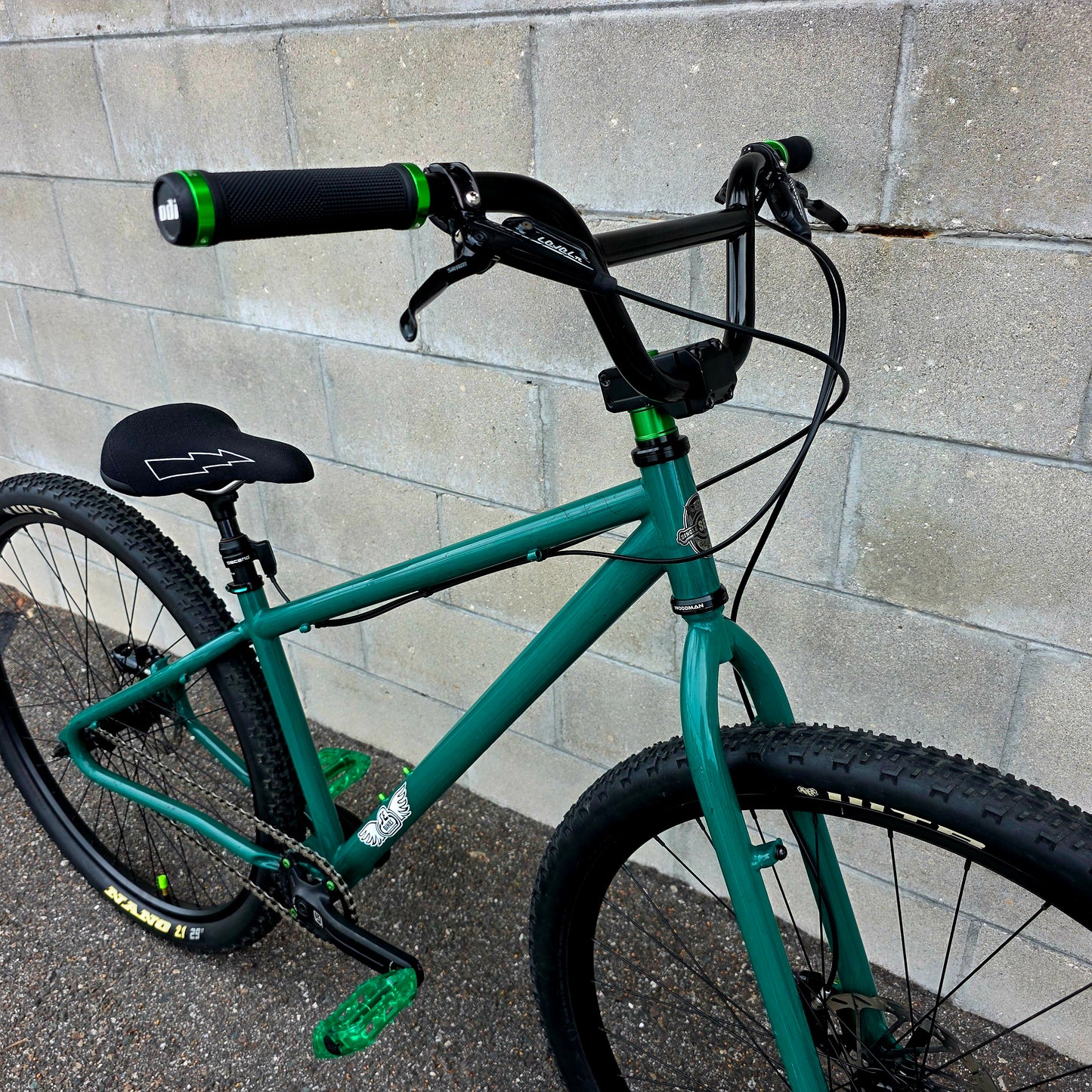 SE Stout 29er BMX Custom