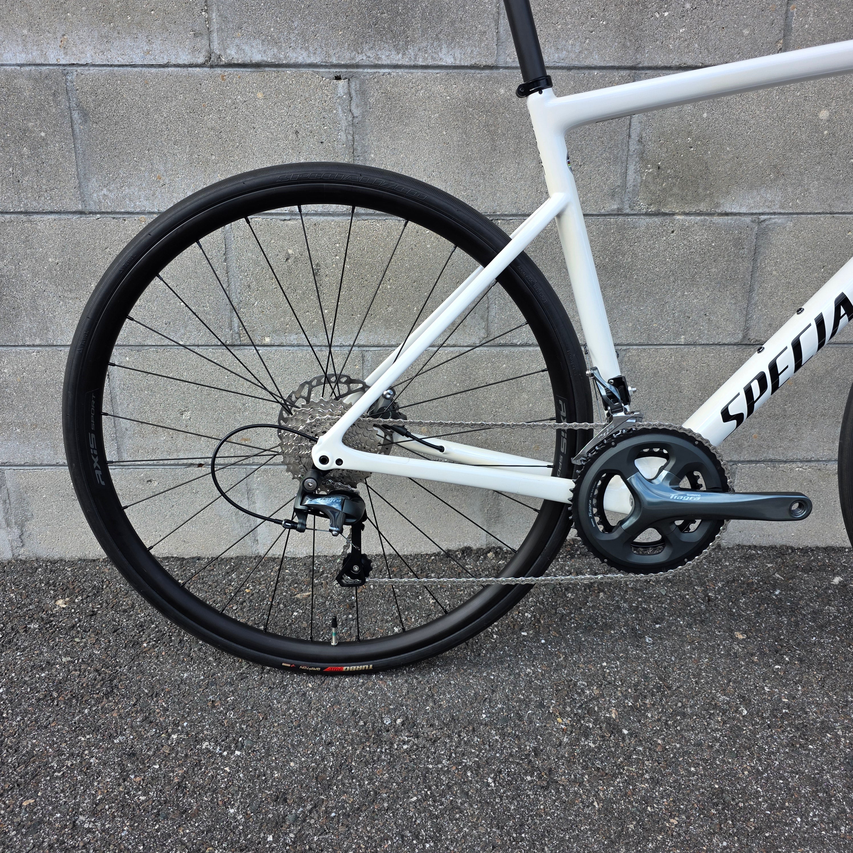 2022 Specialized Tarmac SL6 Carbon (56cm) – South Tampa Bicycle Co.