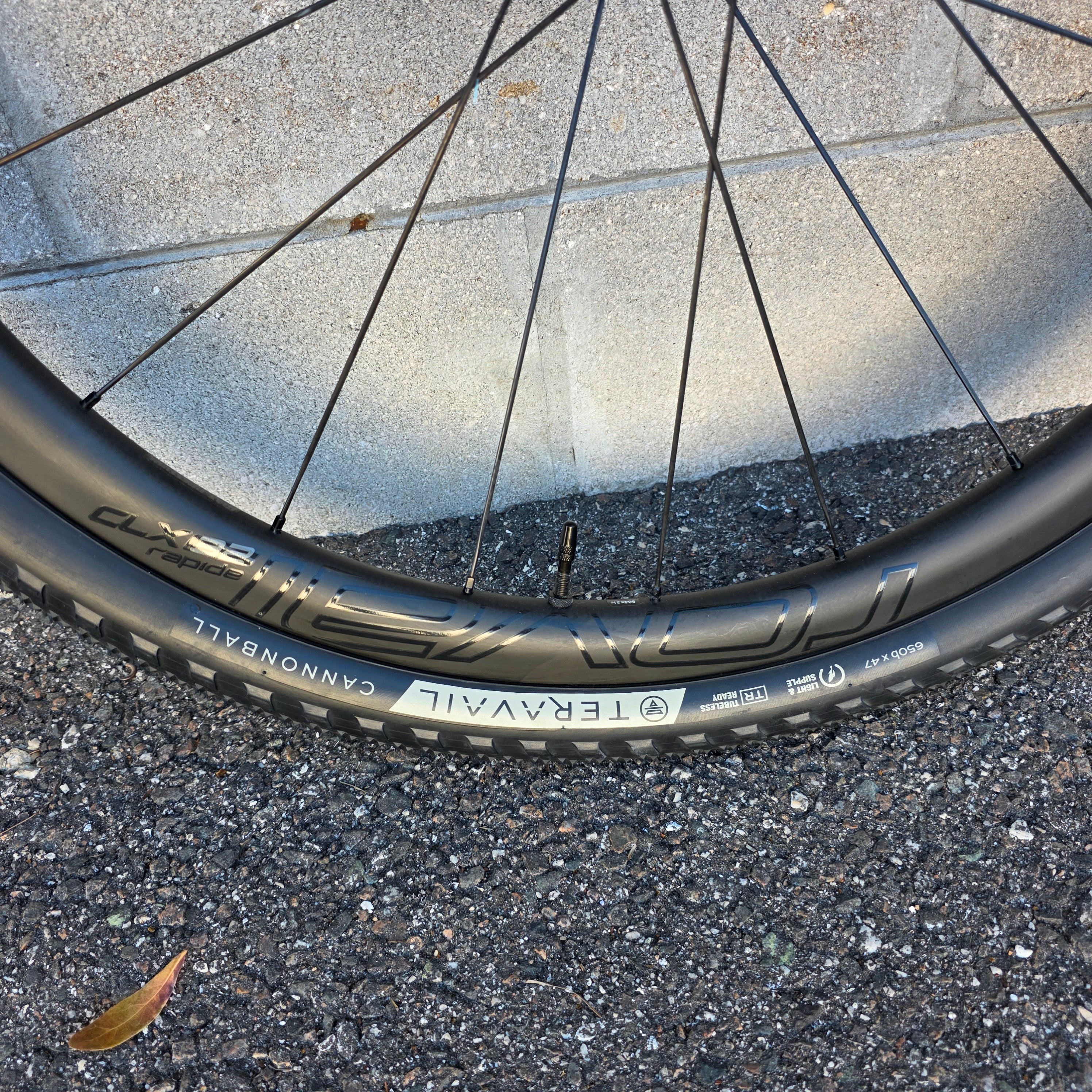 Roval Rapide CLX 32 650b wheelset Gravel – South Tampa Bicycle Co.