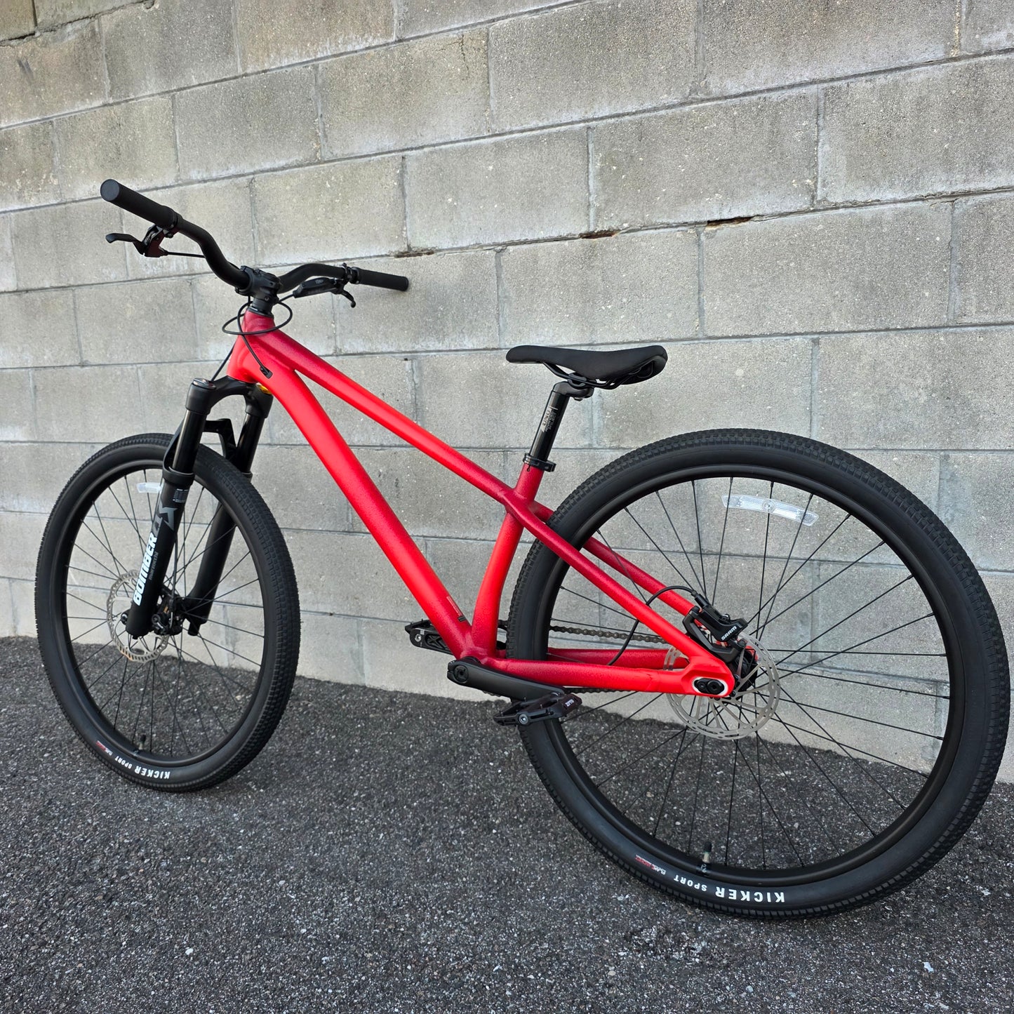 Specialized p4 DJ Dirt Jumper
