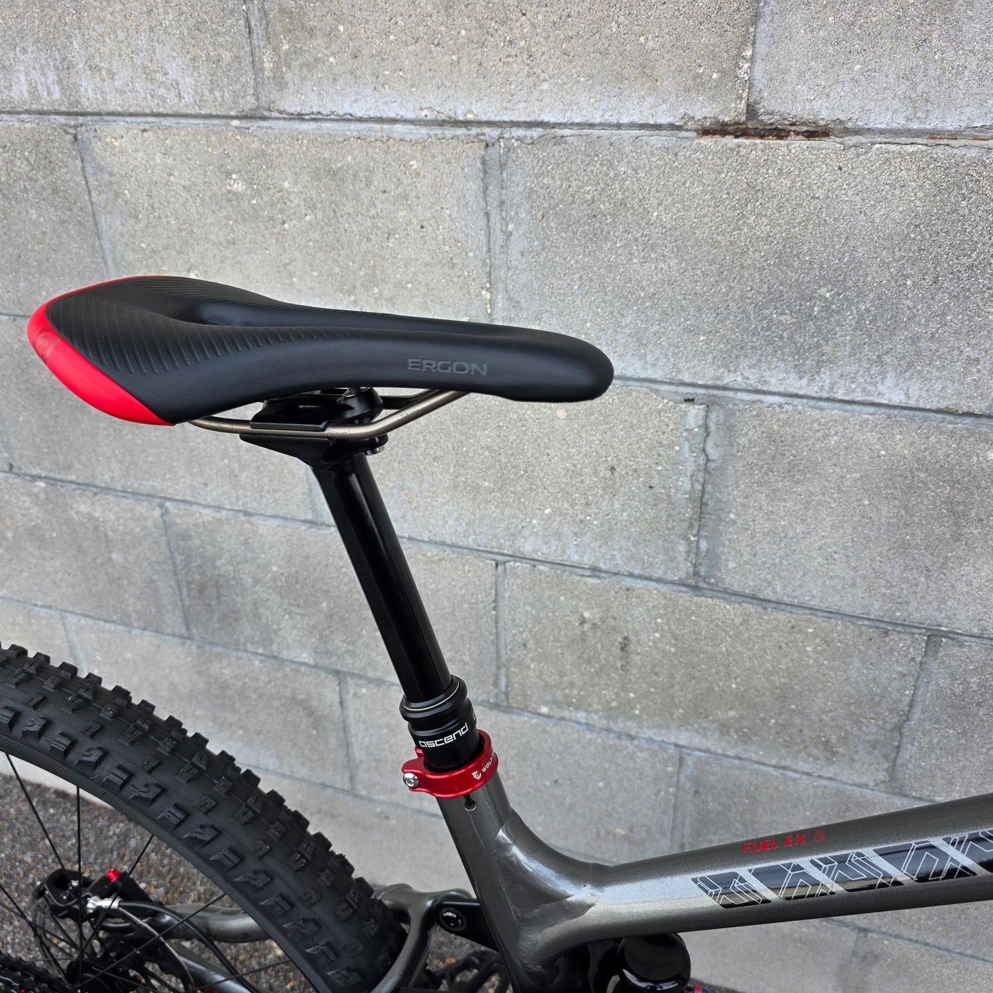 Trek Fuel EX8 29 (Medium 17")