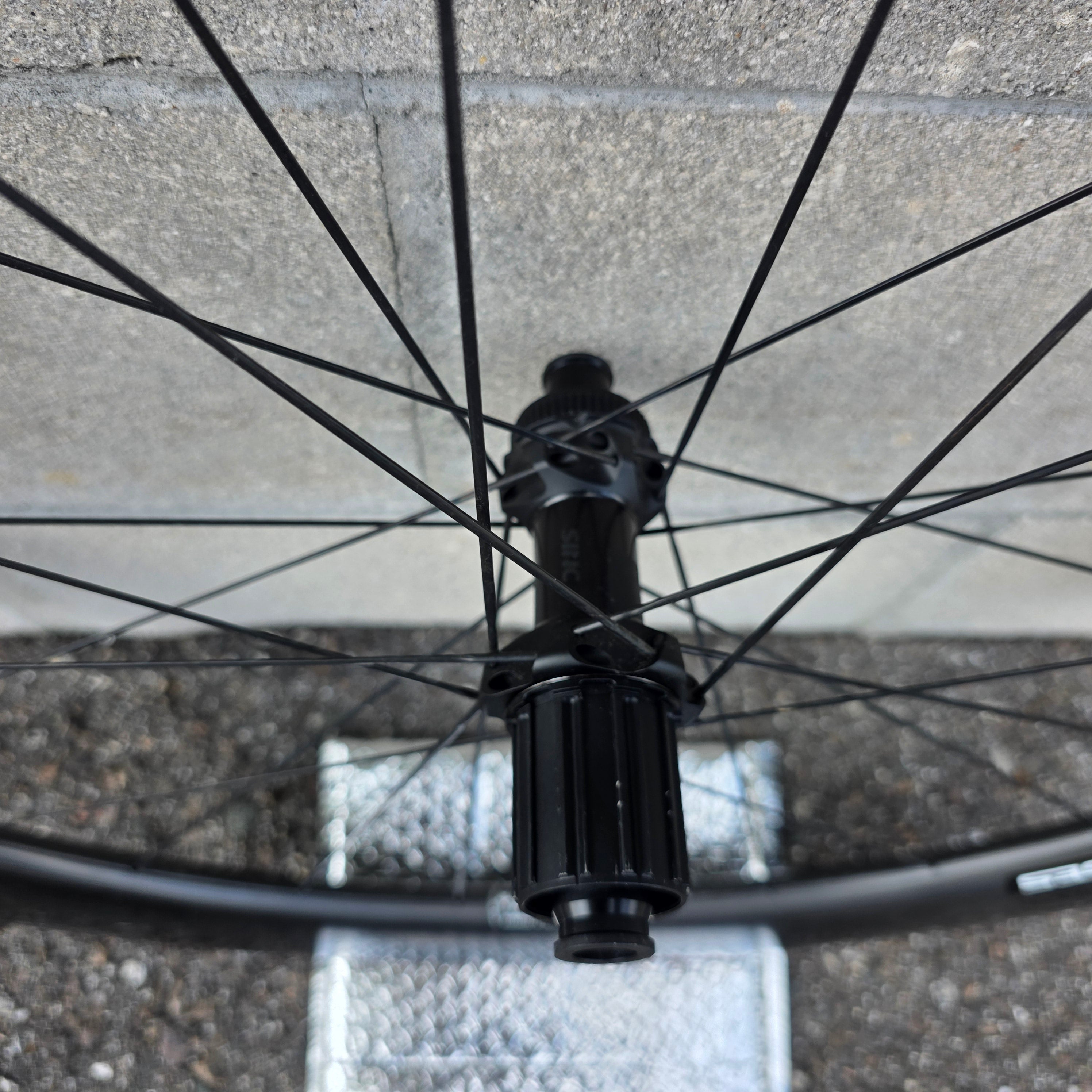 ENVE SES 5.6 Disc Carbon/ Dt Swiss 180 EXP Ceramic – South Tampa