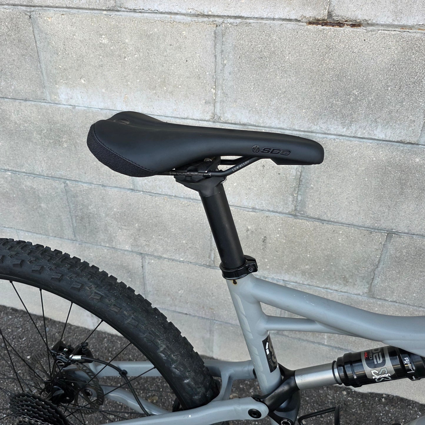 Specialized Camber 29 (Large)