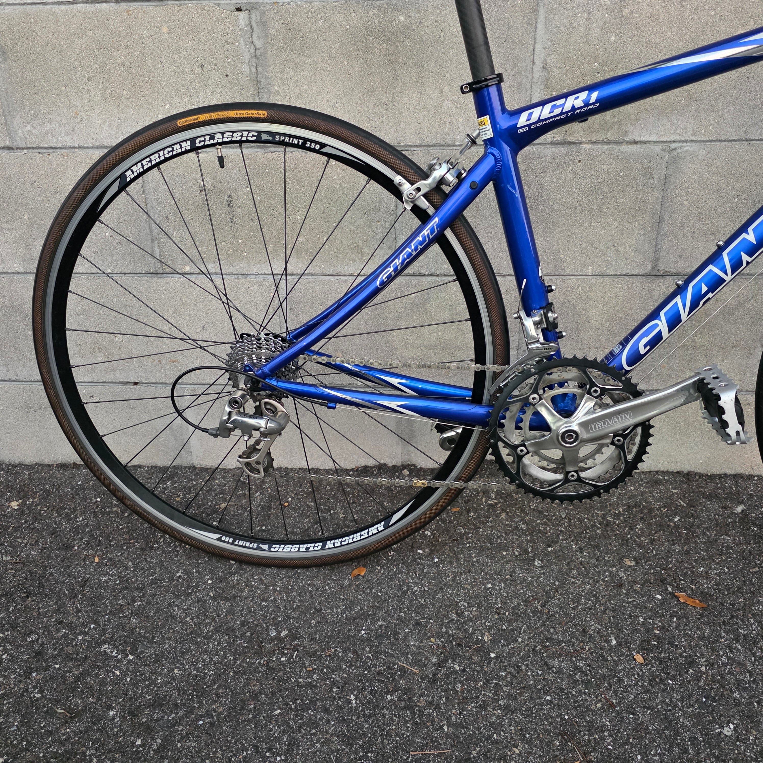 Giant OCR Road Bike (Size Small) – South Tampa Bicycle Co.