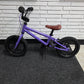 Cleary Gecko 12" Kids Bike Custom