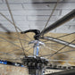 Litespeed Firenze Titanium Road Bike (59cm) XL Campagnolo