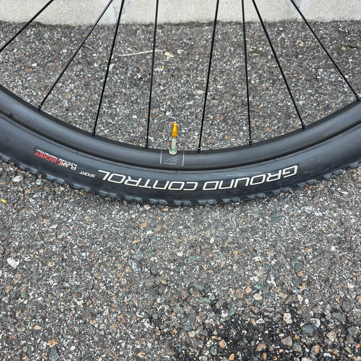 2020 Specialized Rockhopper Expert 29 (Size Medium)