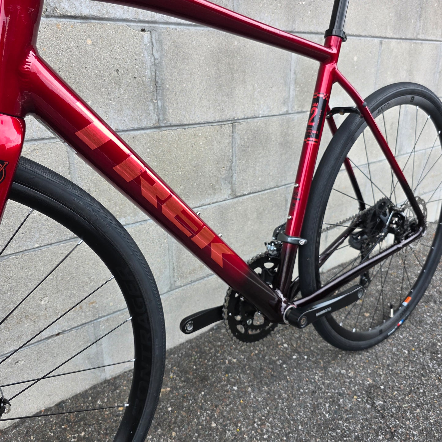 Trek Domane AL 2 (58cm) Road Bike