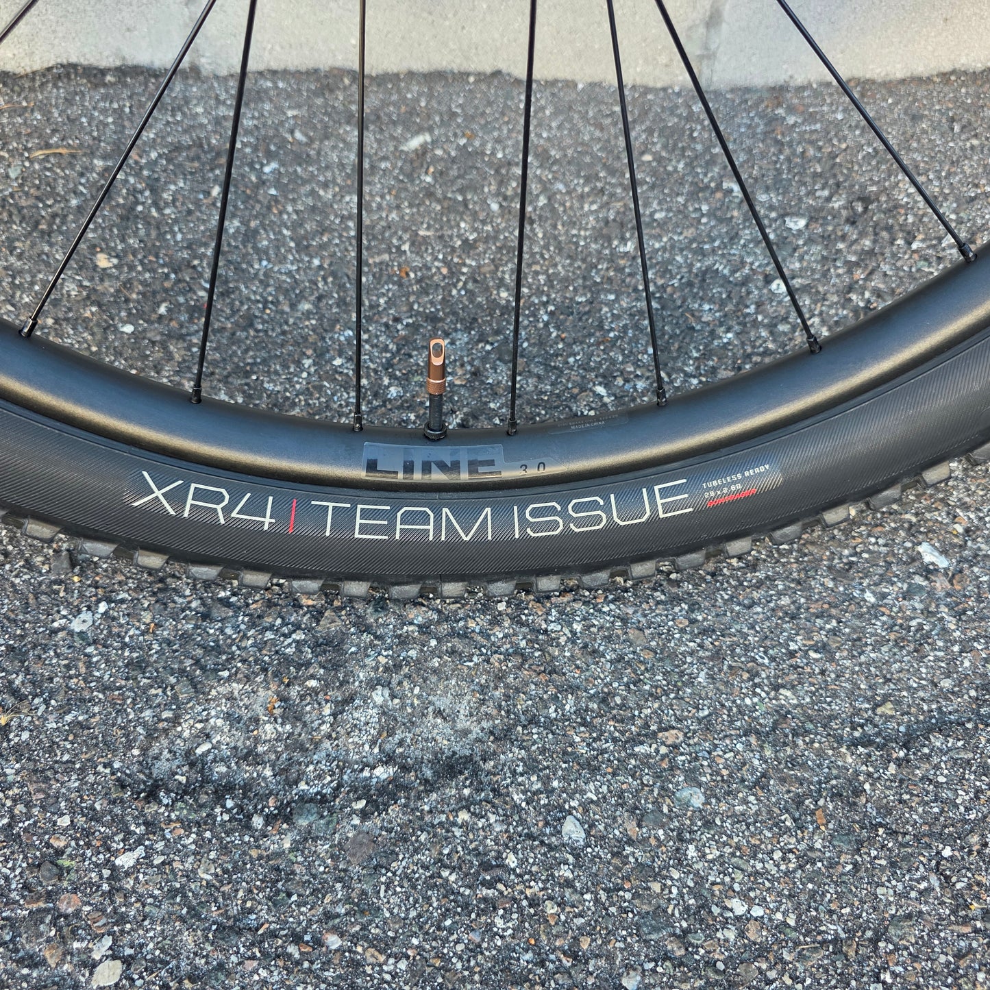 2025 Trek Roscoe 7 29 (Size Large)