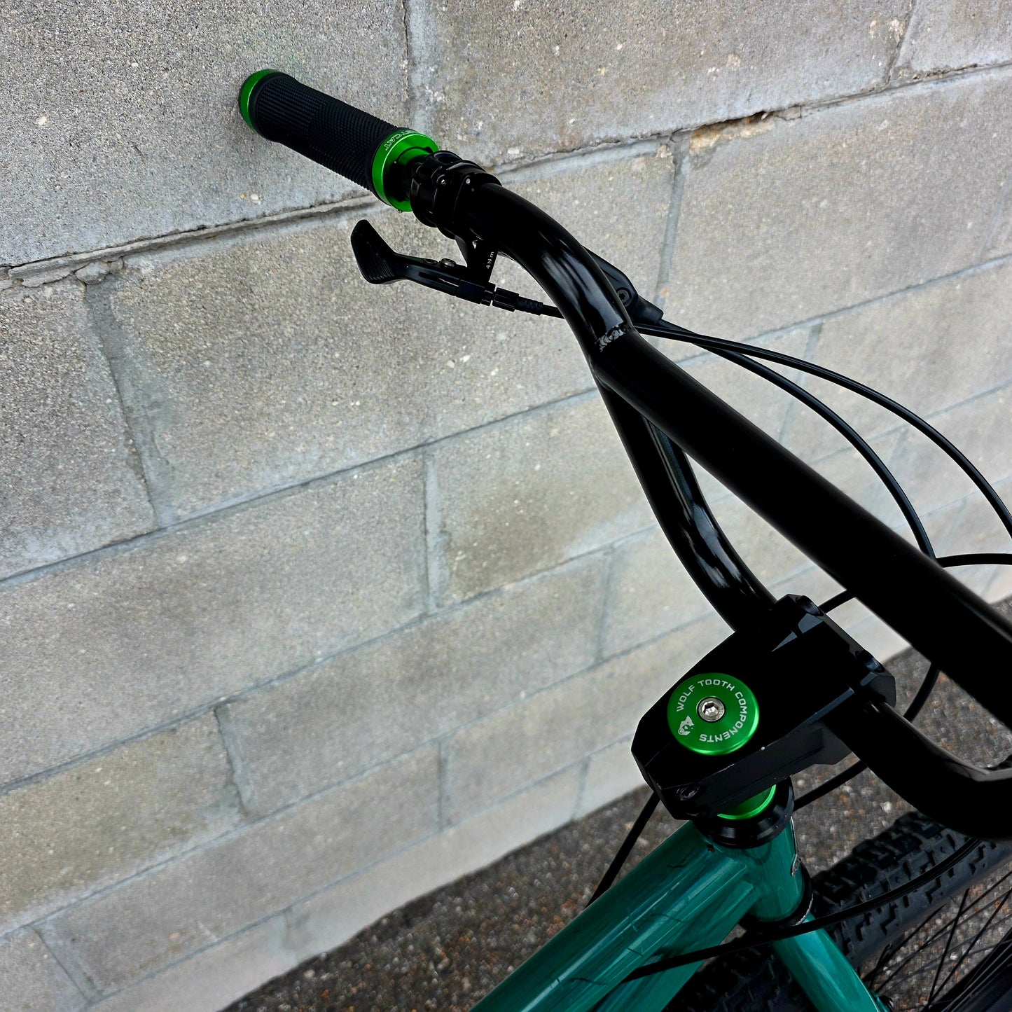 SE Stout 29er BMX Custom