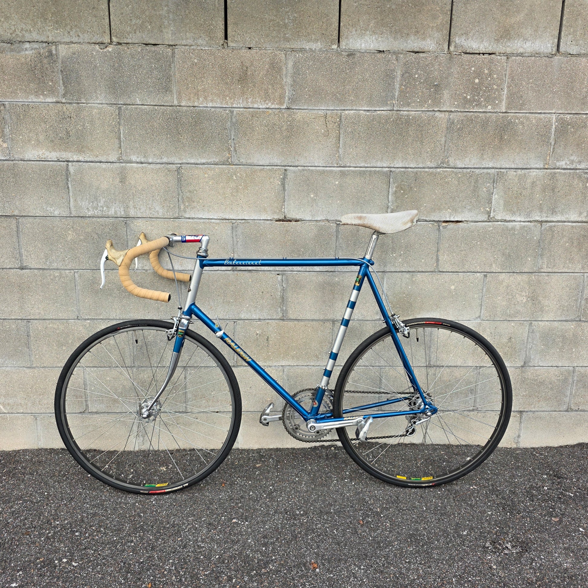 raleigh fahrräder xxl Raleigh Professional Vintage Road Bike XXL 25.5" 64cm – South Tampa Bicycle Co