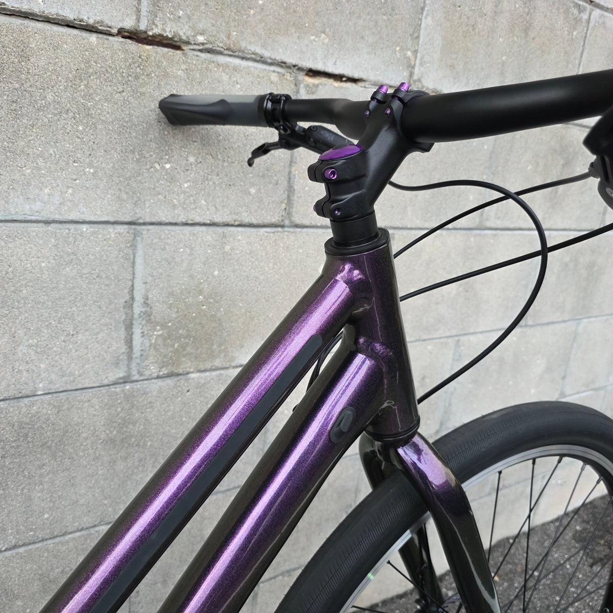 2025 Cannondale Treadwell  Remixte Custom (Large)