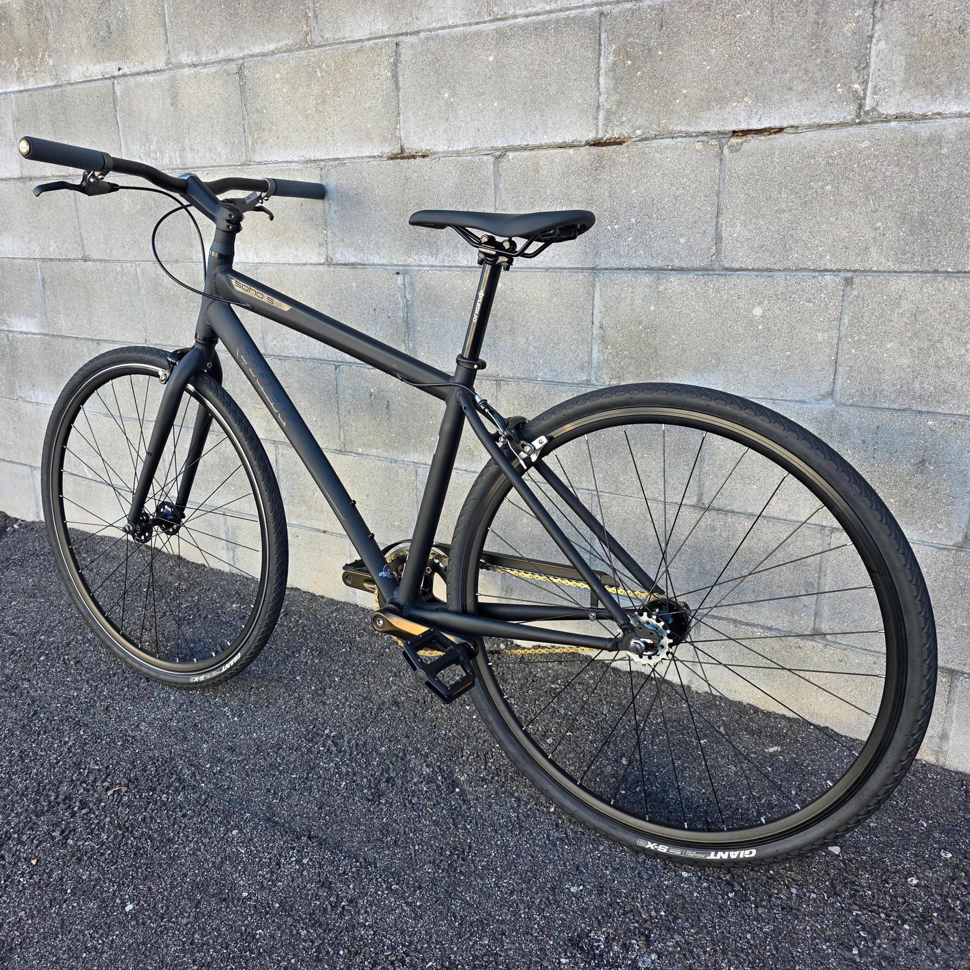 Trek Soho SingleSpeed (Medium) – South Tampa Bicycle Co