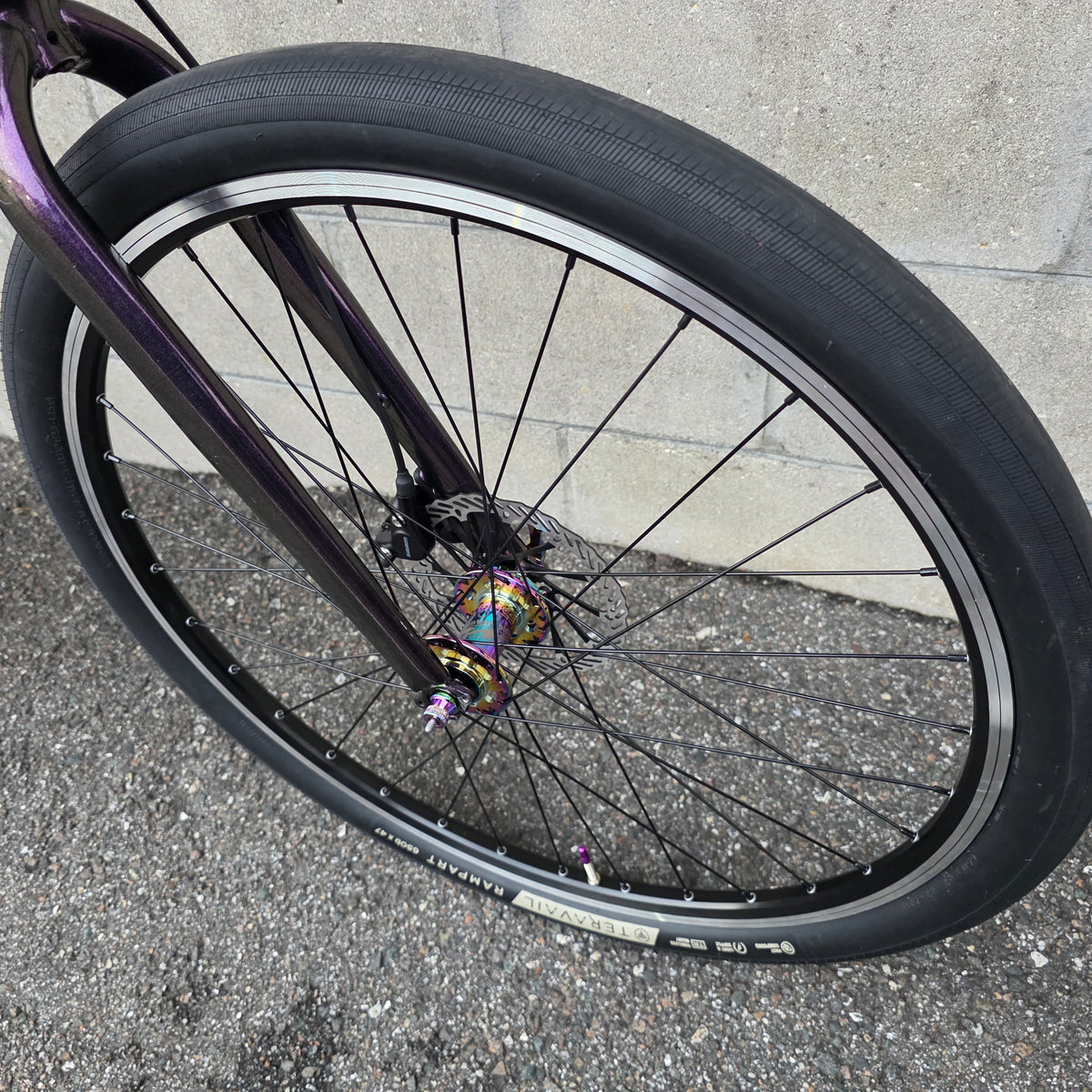 2025 Cannondale Treadwell  Remixte Custom (Large)