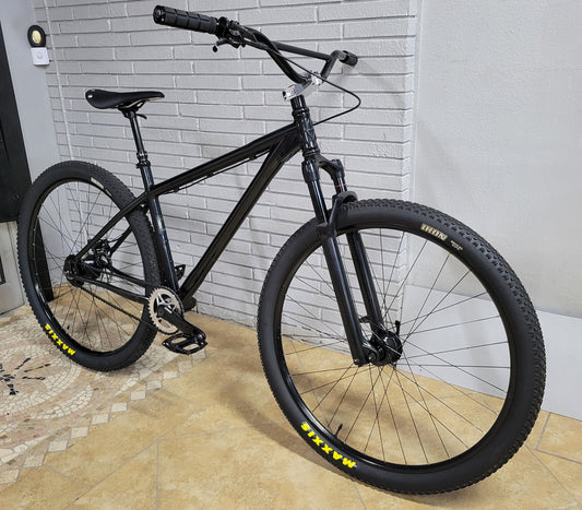 Custom Gary Fisher Rig SingleSpeed 29er