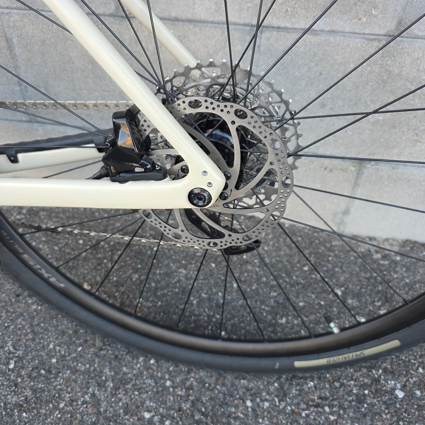 2023 Specialized Diverge Carbon Rival AXS XPLR (58cm)