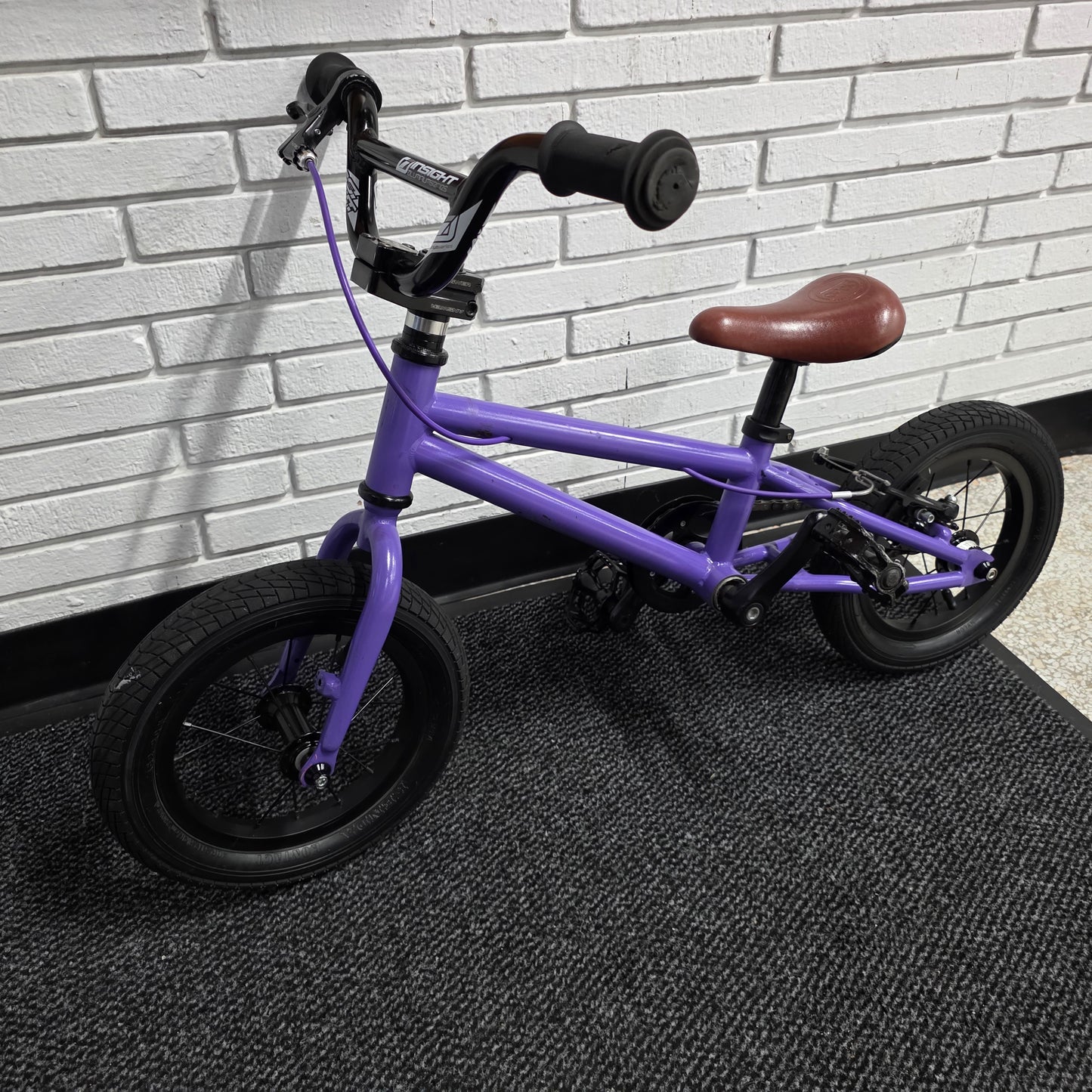 Cleary Gecko 12" Kids Bike Custom