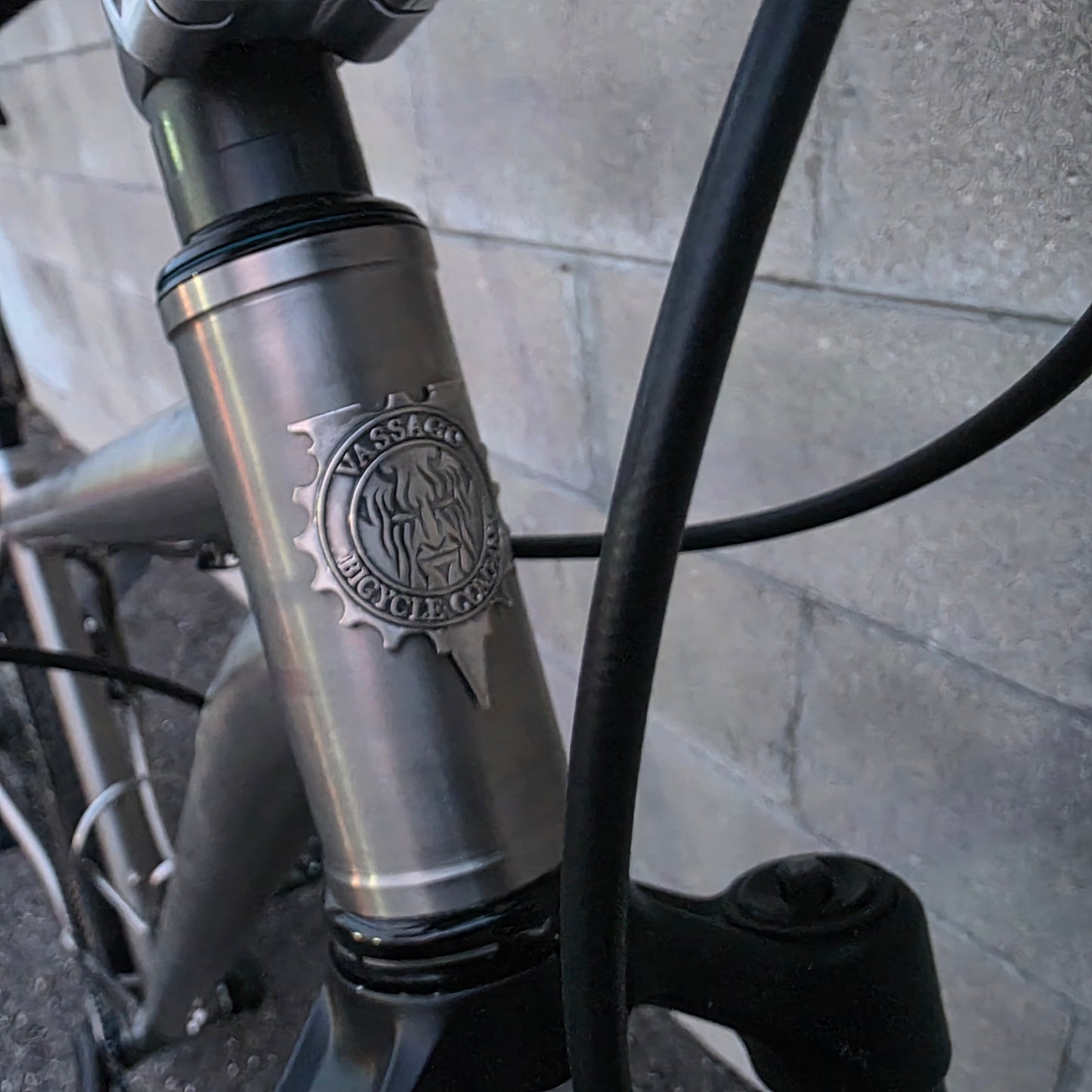 Vassago Optimus Titanium 29 (Large) SRAM AXS