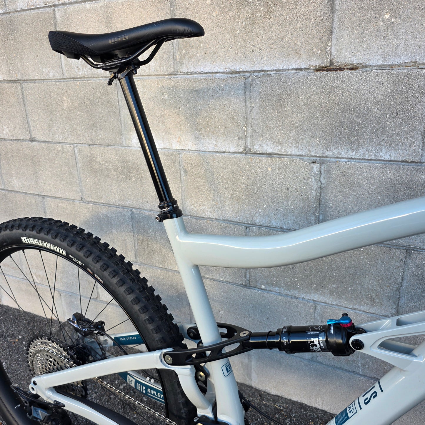 Ibis Ripley AF XT/SLX
