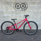 Trek Precaliber 24 kids mountain bike