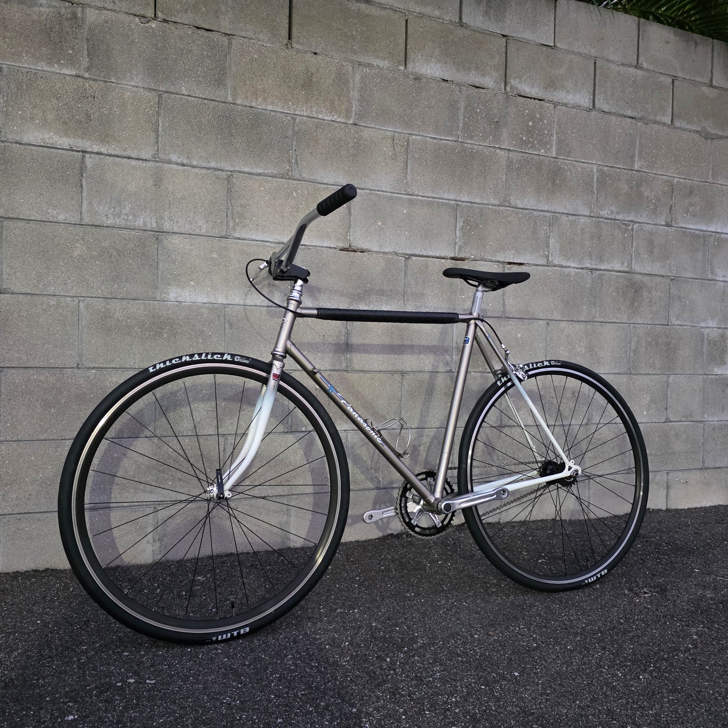 Panasonic SingleSpeed/ Fixed gear