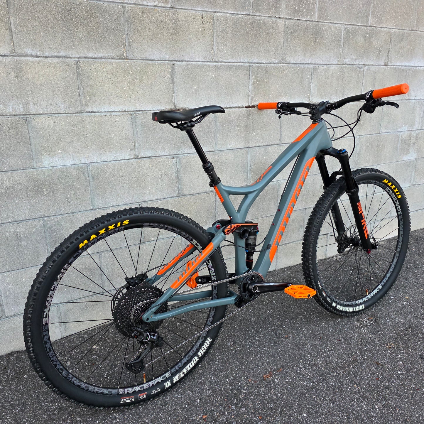 Niner RIP 9 29 Carbon Mountain Bike (Medium)