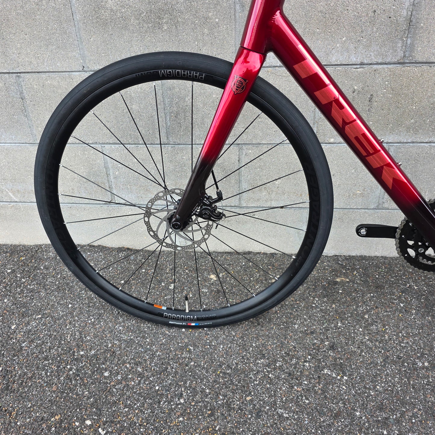Trek Domane AL 2 (58cm) Road Bike