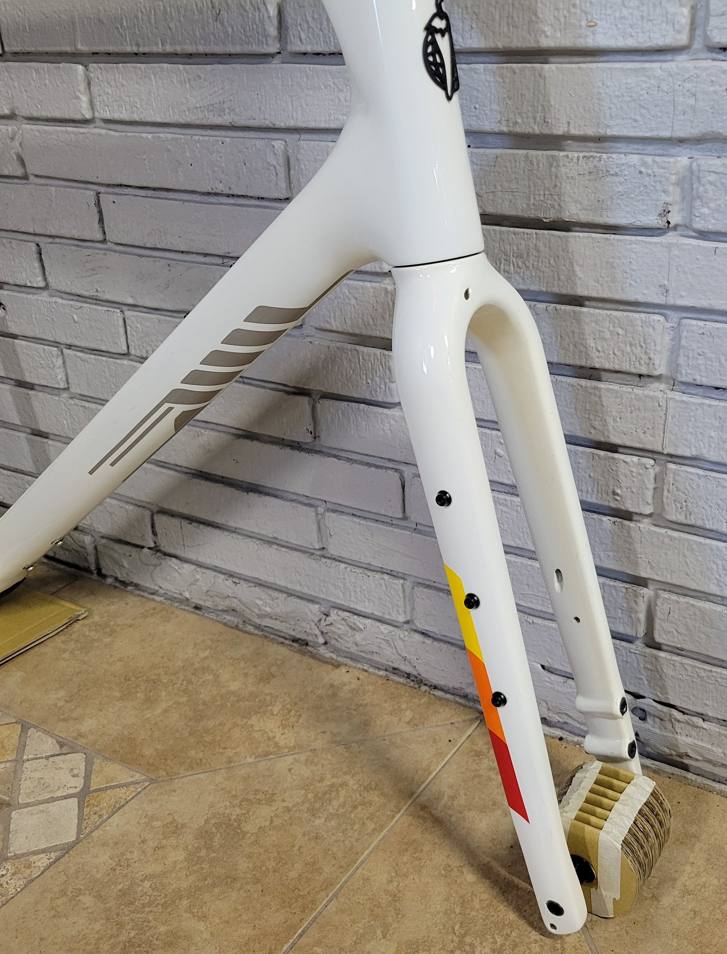 Salsa Warbird Carbon Gravel Frameset (61cm XL)