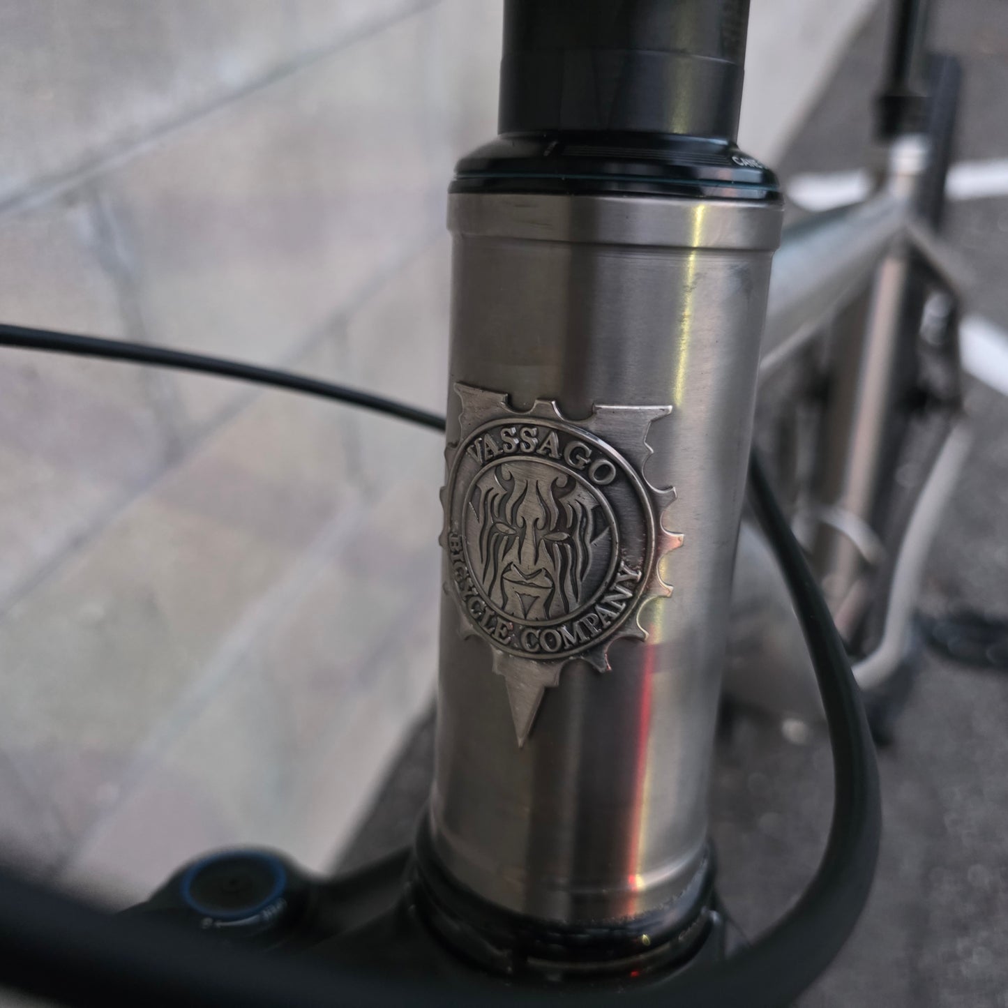 Vassago Optimus Titanium 29 (Large) SRAM AXS