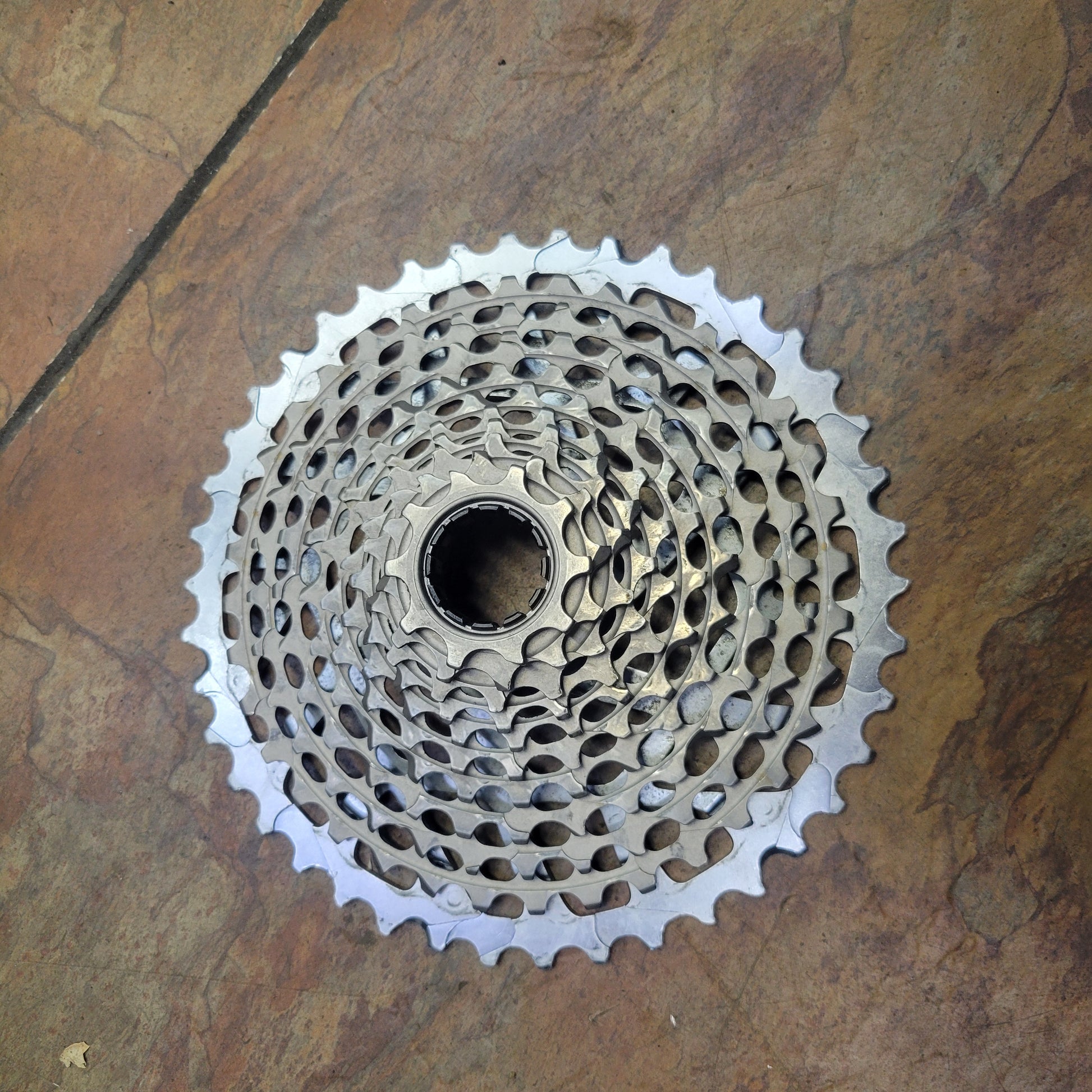 SRAM XG-1199 11 speed Cassette XD – South Tampa Bicycle
