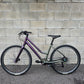 2025 Cannondale Treadwell  Remixte Custom (Large)