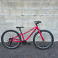 Trek Precaliber 24 kids mountain bike
