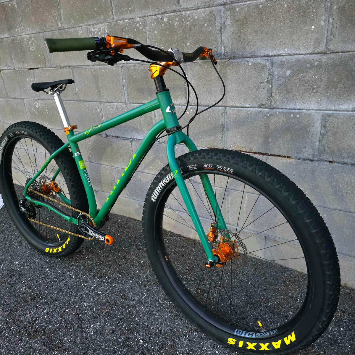 Niner ROS 9 Steel 29+ Custom Build HOPE  (Large)