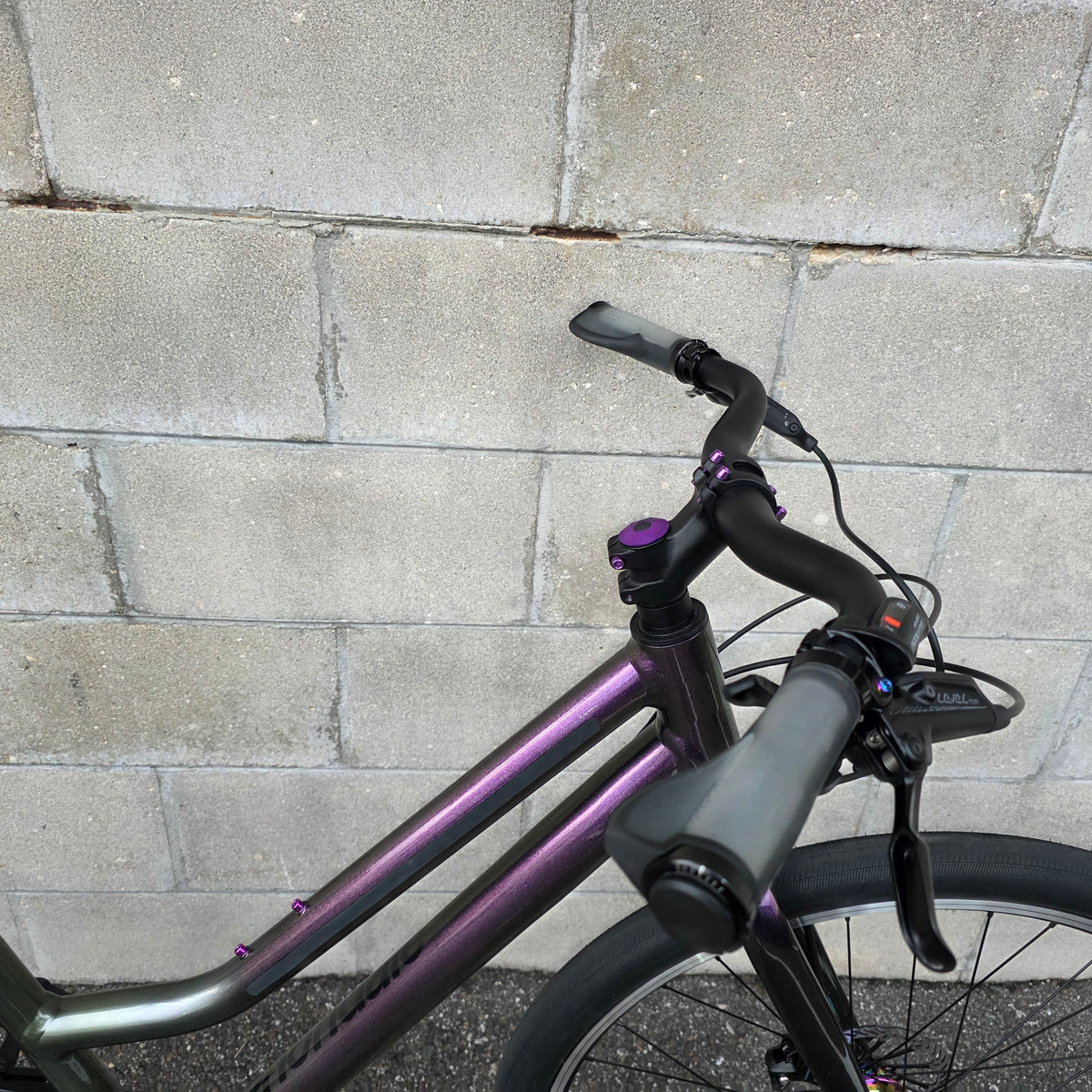 2025 Cannondale Treadwell  Remixte Custom (Large)