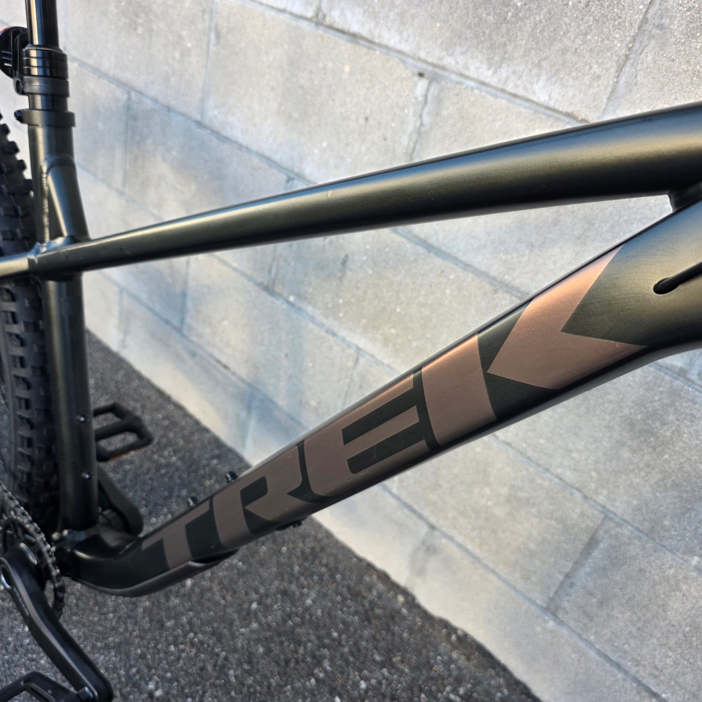 2025 Trek Roscoe 7 29 (Size Large)
