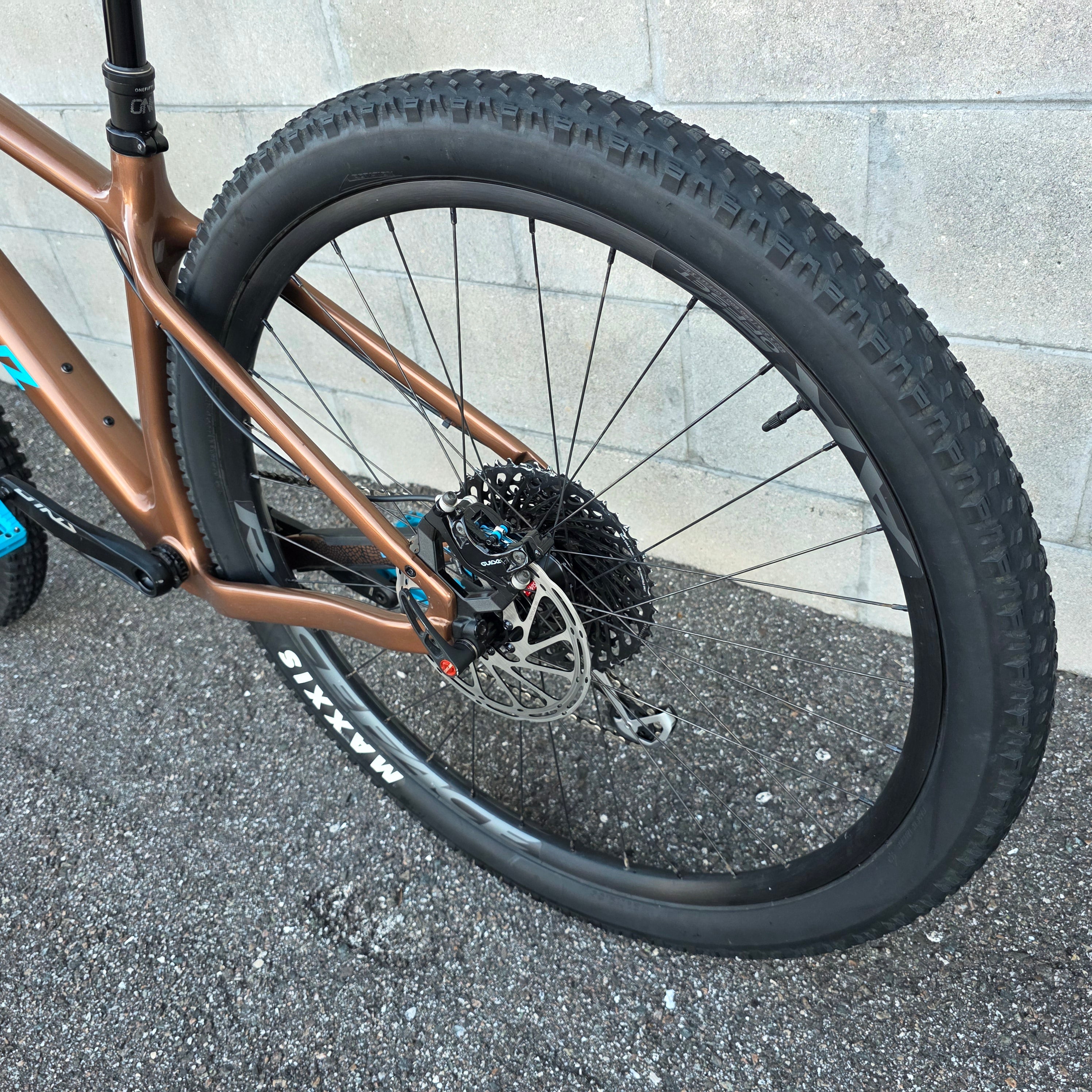 Santa Cruz Chameleon Carbon 29 (Large) – South Tampa Bicycle Co.