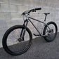 Vassago Optimus Titanium 29 (Large) SRAM AXS
