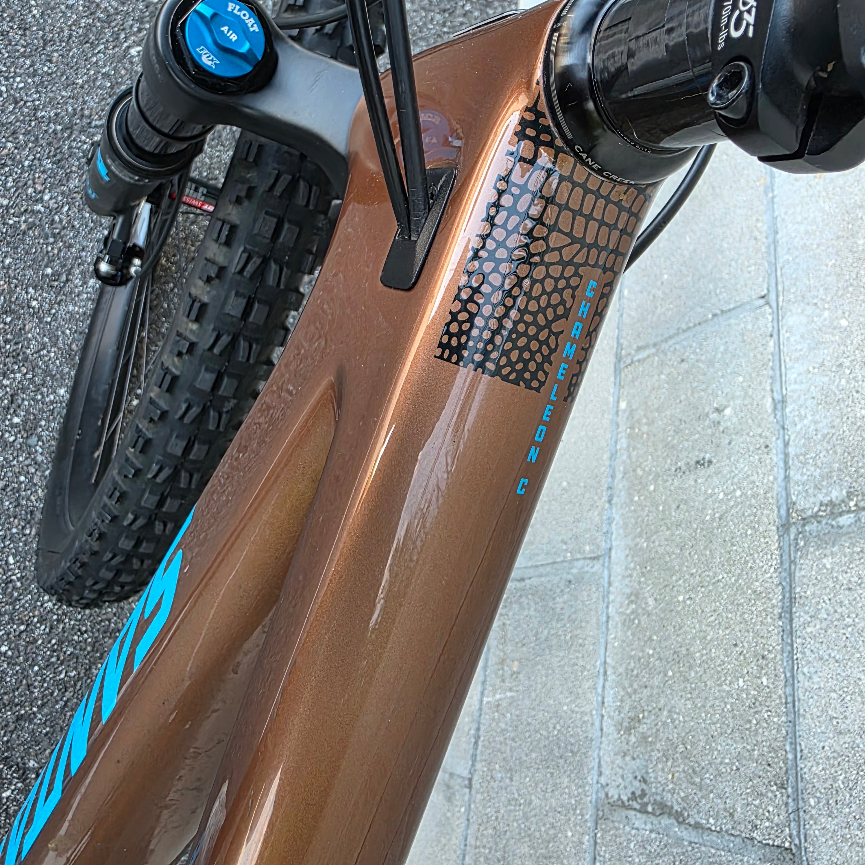 Santa Cruz Chameleon Carbon 29 (Large) – South Tampa Bicycle Co.