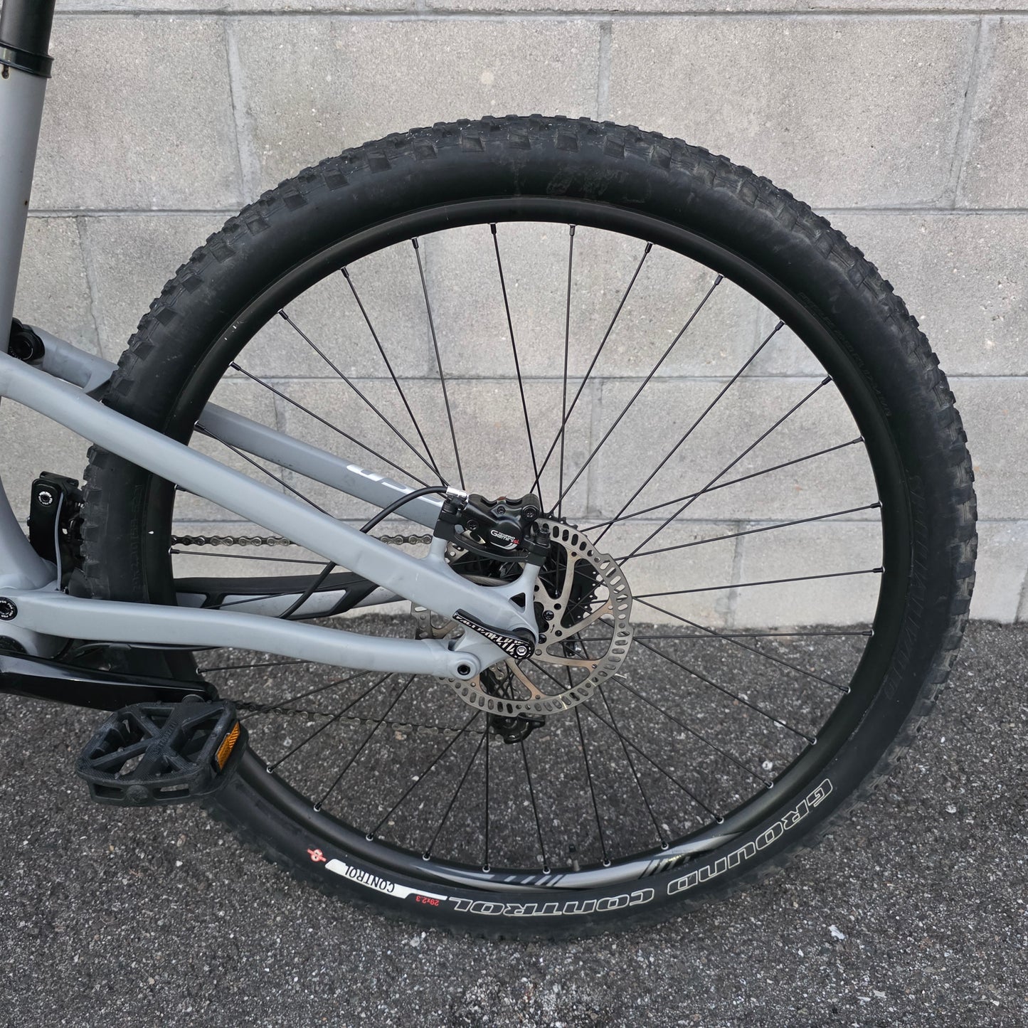 Specialized Camber 29 (Large)