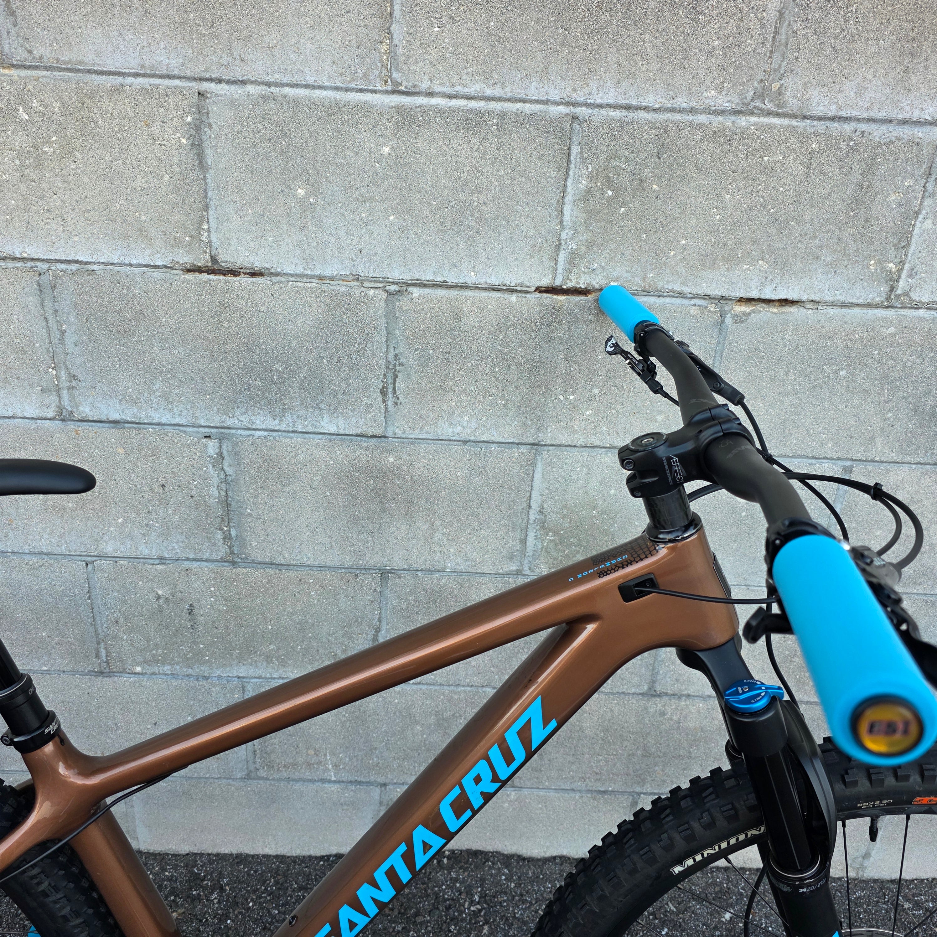 Santa Cruz Chameleon Carbon 29 (Large) – South Tampa Bicycle Co.