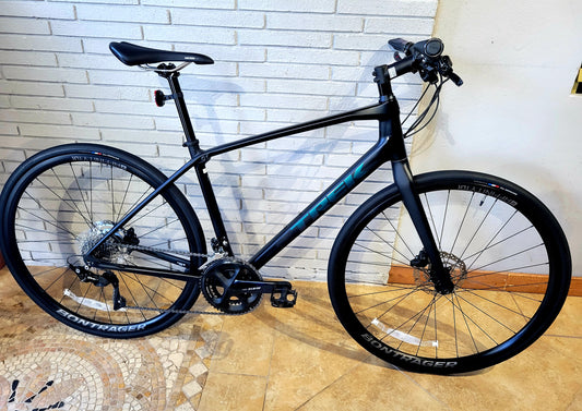 2021 Trek FX Sport 6 Carbon (Medium)