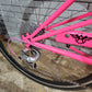 Nishiki Mixtie Custom Road Bike small/med