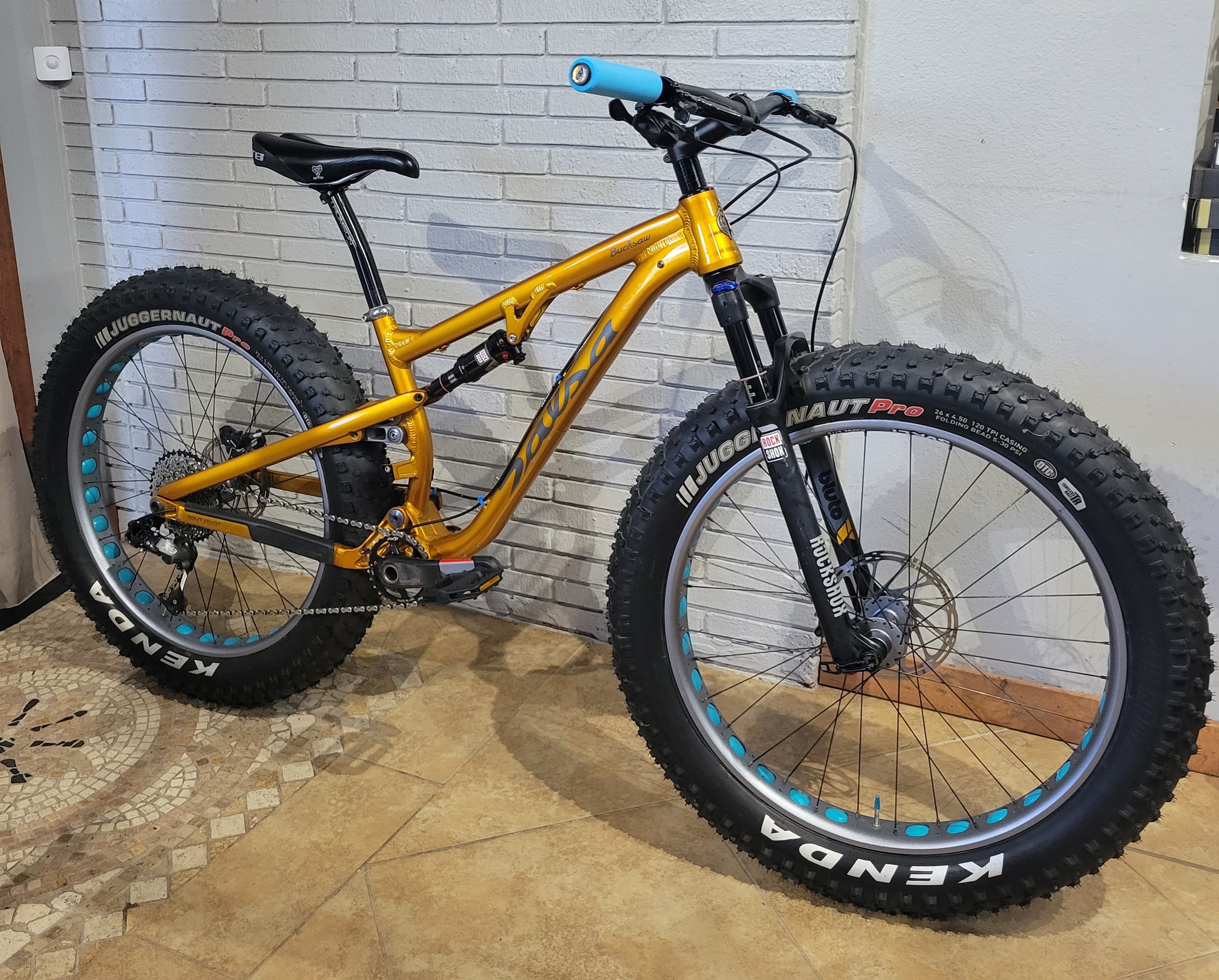 Bucksaw Salsa Bikes Fat Tire Salsa Bucksaw For Cindy – South Tampa