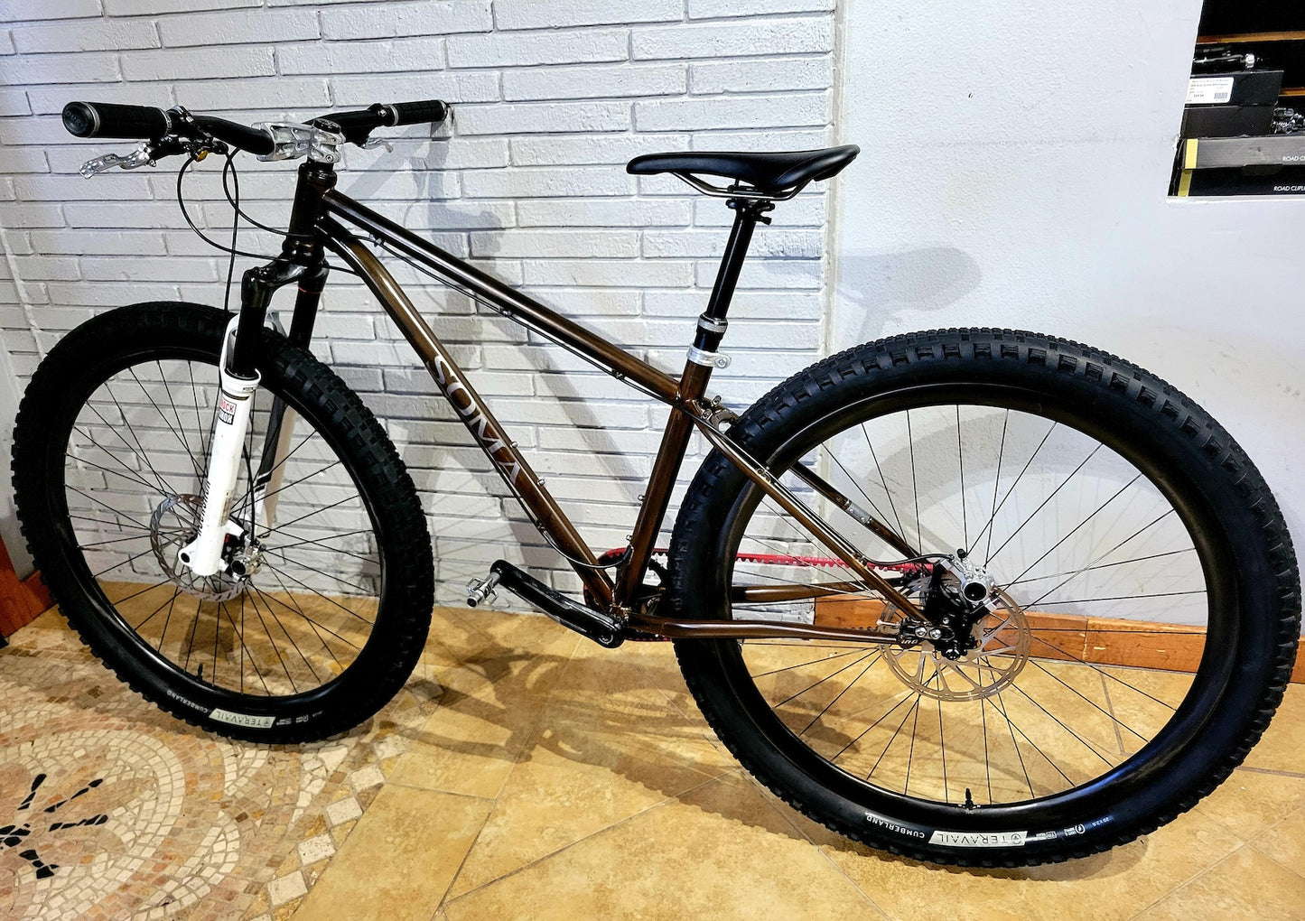 2020 Soma Juice Belt Drive (Small) Custom Mountain Bike