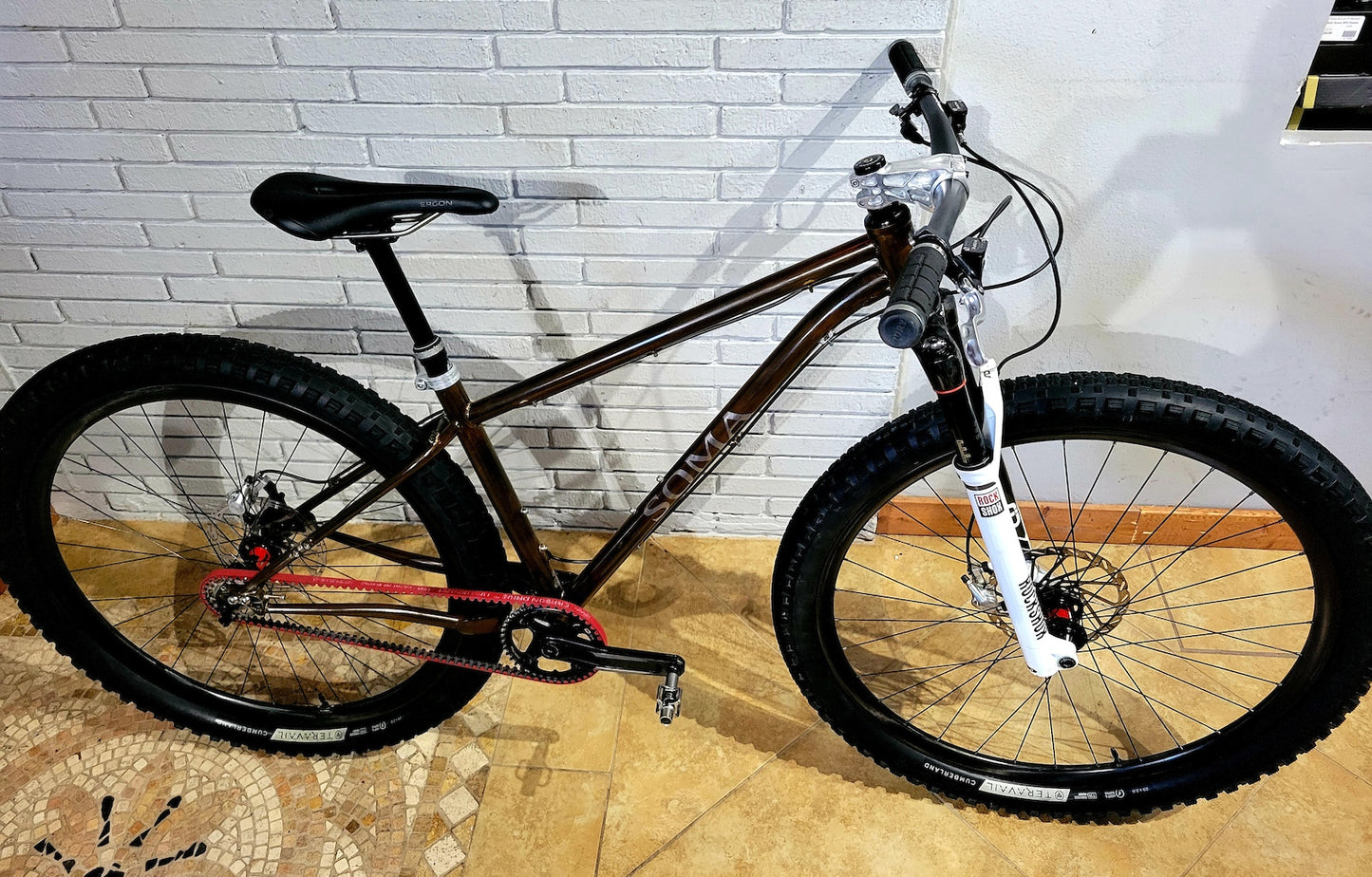 2020 Soma Juice Belt Drive (Small) Custom Mountain Bike